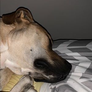 Meet your Posher, Sara